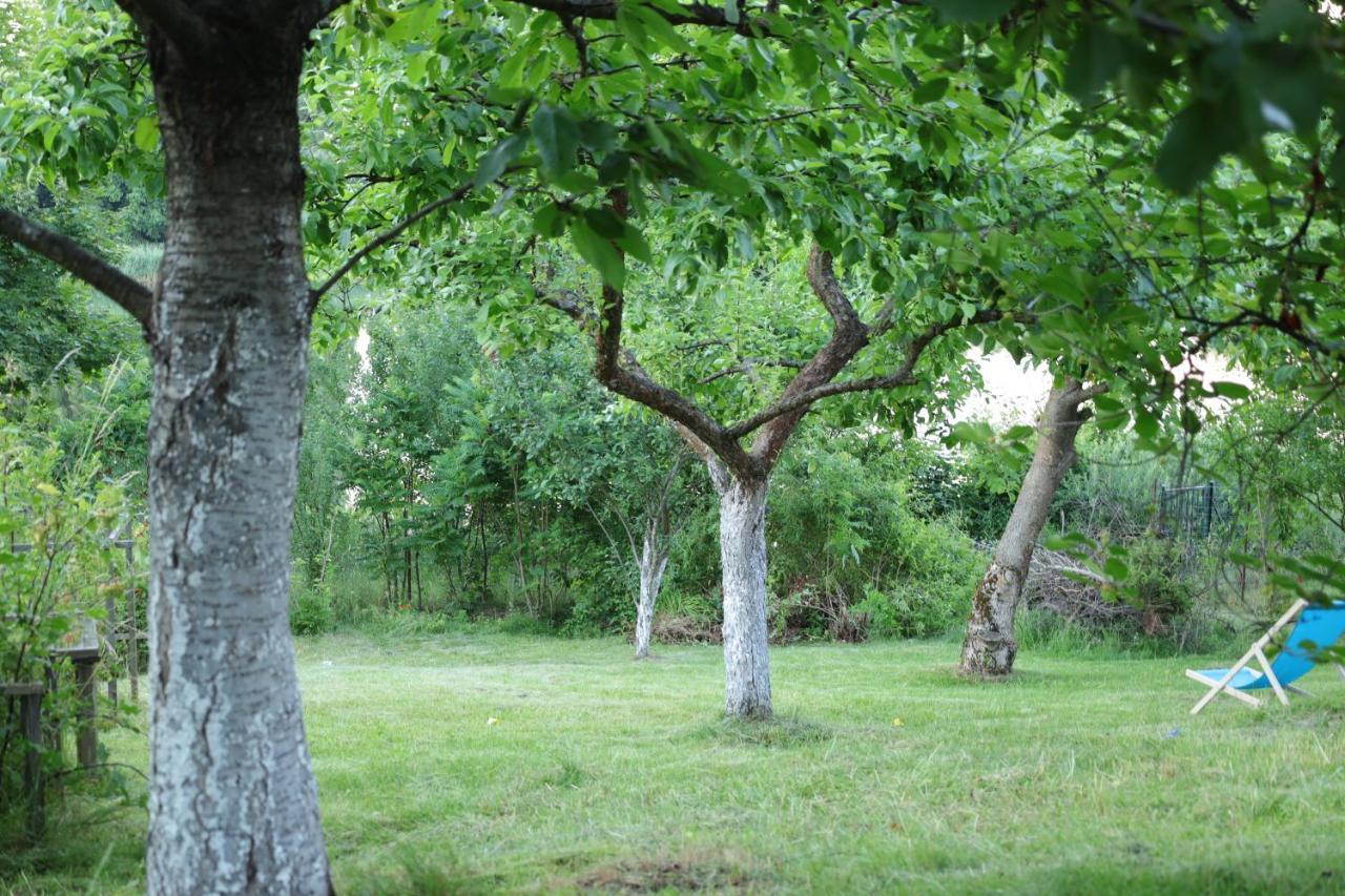 Lawendowe Pokoje Blisko Lasu - Mikolajki Mikołajki Exterior foto